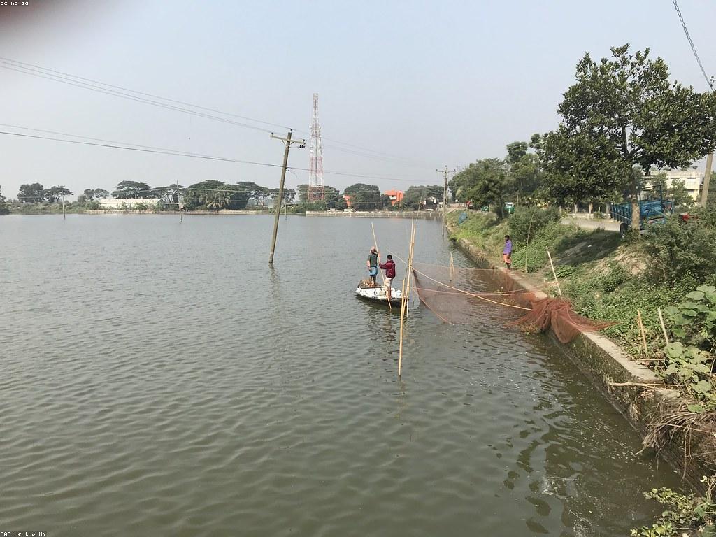 វិធីសាស្ត្រនិងនិន្នាការនៃការប៉ៅត្រី