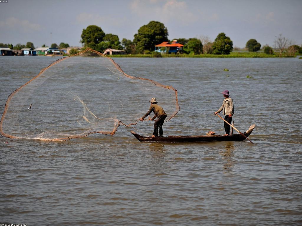 សារៈសំខាន់នៃត្រីក្នុងវិស័យកសិកម្មទឹក
