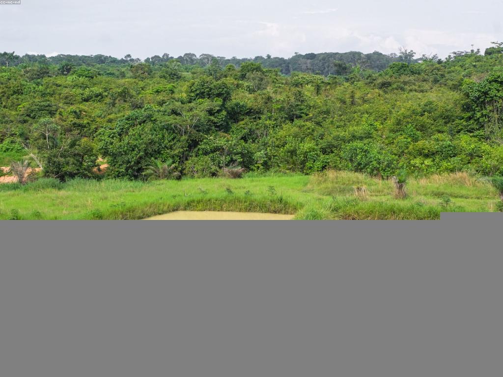 វិធីសាស្ត្រកសាងត្រីទឹកត្រួត